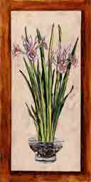 iris' botanical, flowers and plant life art and gifts, botanical, flowers and plant life gifts, botanical, flowers and plant life paintings and prints by artists Jane Billman and Gregg Billman