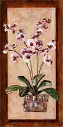 orchids botanical, flowers and plant life art and gifts, botanical, flowers and plant life gifts, botanical, flowers and plant life paintings and prints by artists Jane Billman and Gregg Billman