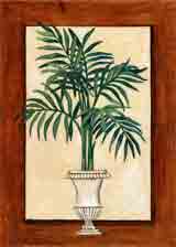 parlour palm botanical art and plant life gifts, paintings of flowers and botanical prints by artists Jane Billman and Gregg Billman